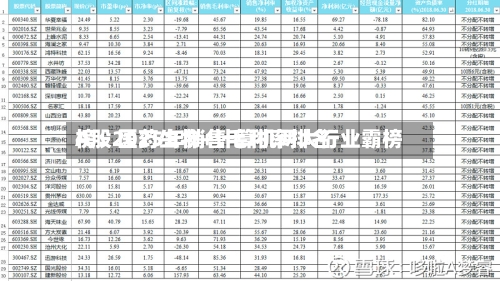 A股2025年销售毛利率排名榜：医药生物+计算机两大行业霸榜-第3张图片