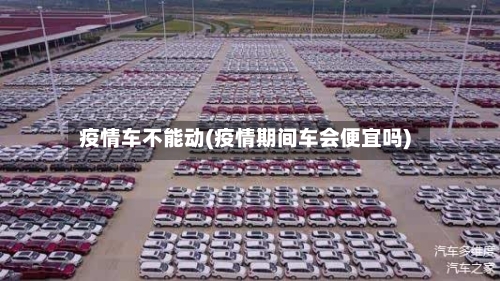 疫情车不能动(疫情期间车会便宜吗)-第2张图片