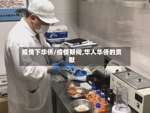 疫情下华侨/疫情期间,华人华侨的贡献