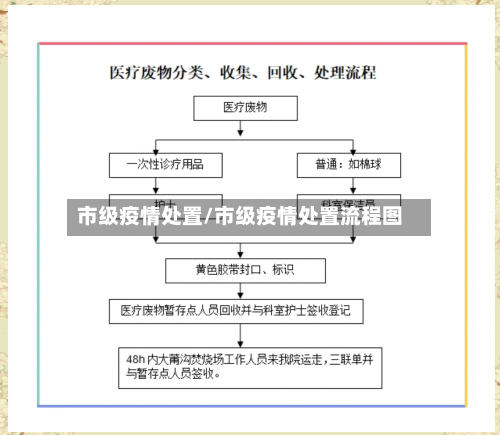 市级疫情处置/市级疫情处置流程图-第2张图片