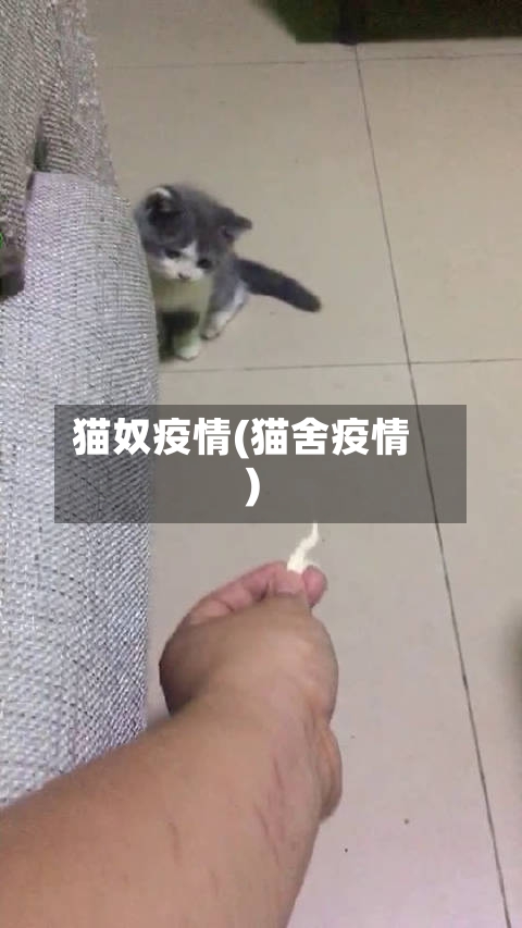 猫奴疫情(猫舍疫情)