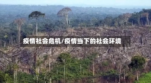 疫情社会危机/疫情当下的社会环境-第3张图片