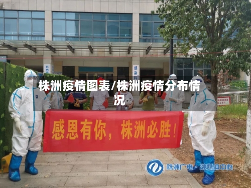 株洲疫情图表/株洲疫情分布情况
