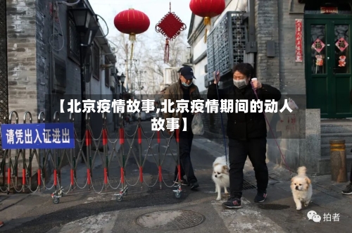 【北京疫情故事,北京疫情期间的动人故事】