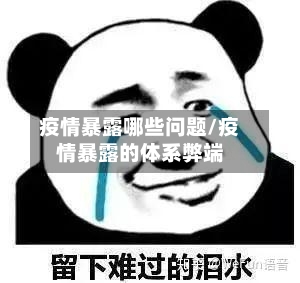 疫情暴露哪些问题/疫情暴露的体系弊端-第2张图片