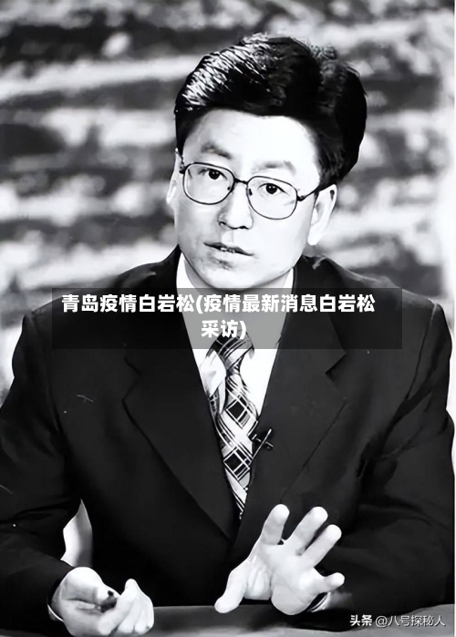 青岛疫情白岩松(疫情最新消息白岩松采访)-第2张图片