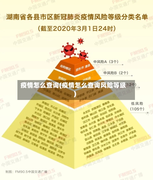 疫情怎么查询(疫情怎么查询风险等级)-第2张图片