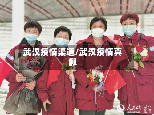 武汉疫情渠道/武汉疫情真假-第2张图片