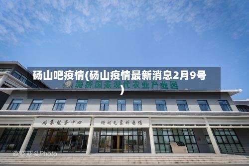 砀山吧疫情(砀山疫情最新消息2月9号)-第2张图片