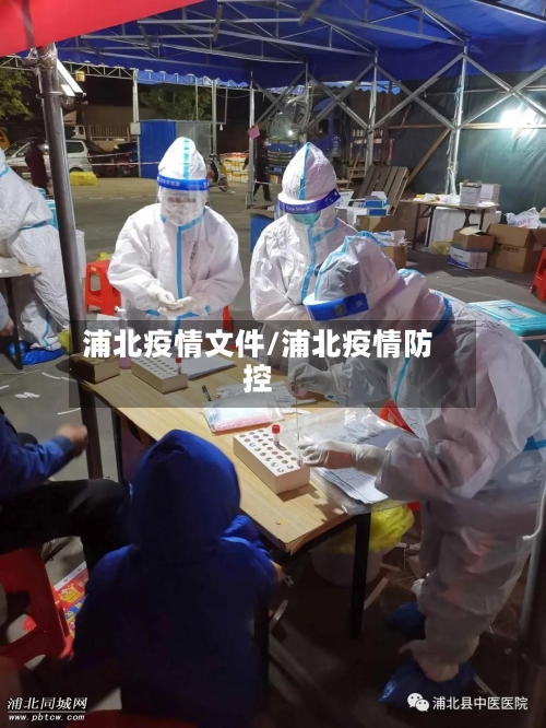 浦北疫情文件/浦北疫情防控-第2张图片