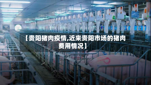 【贵阳猪肉疫情,近来贵阳市场的猪肉费用情况】