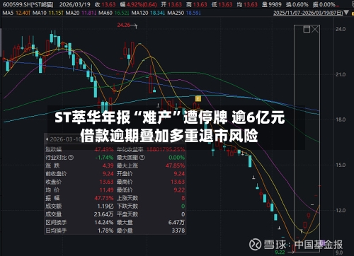 ST萃华年报“难产”遭停牌 逾6亿元借款逾期叠加多重退市风险-第3张图片