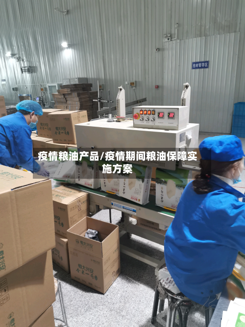 疫情粮油产品/疫情期间粮油保障实施方案