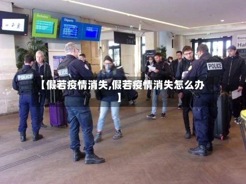 【假若疫情消失,假若疫情消失怎么办】-第3张图片