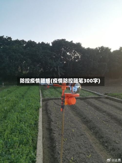 防控疫情随感(疫情防控随笔300字)